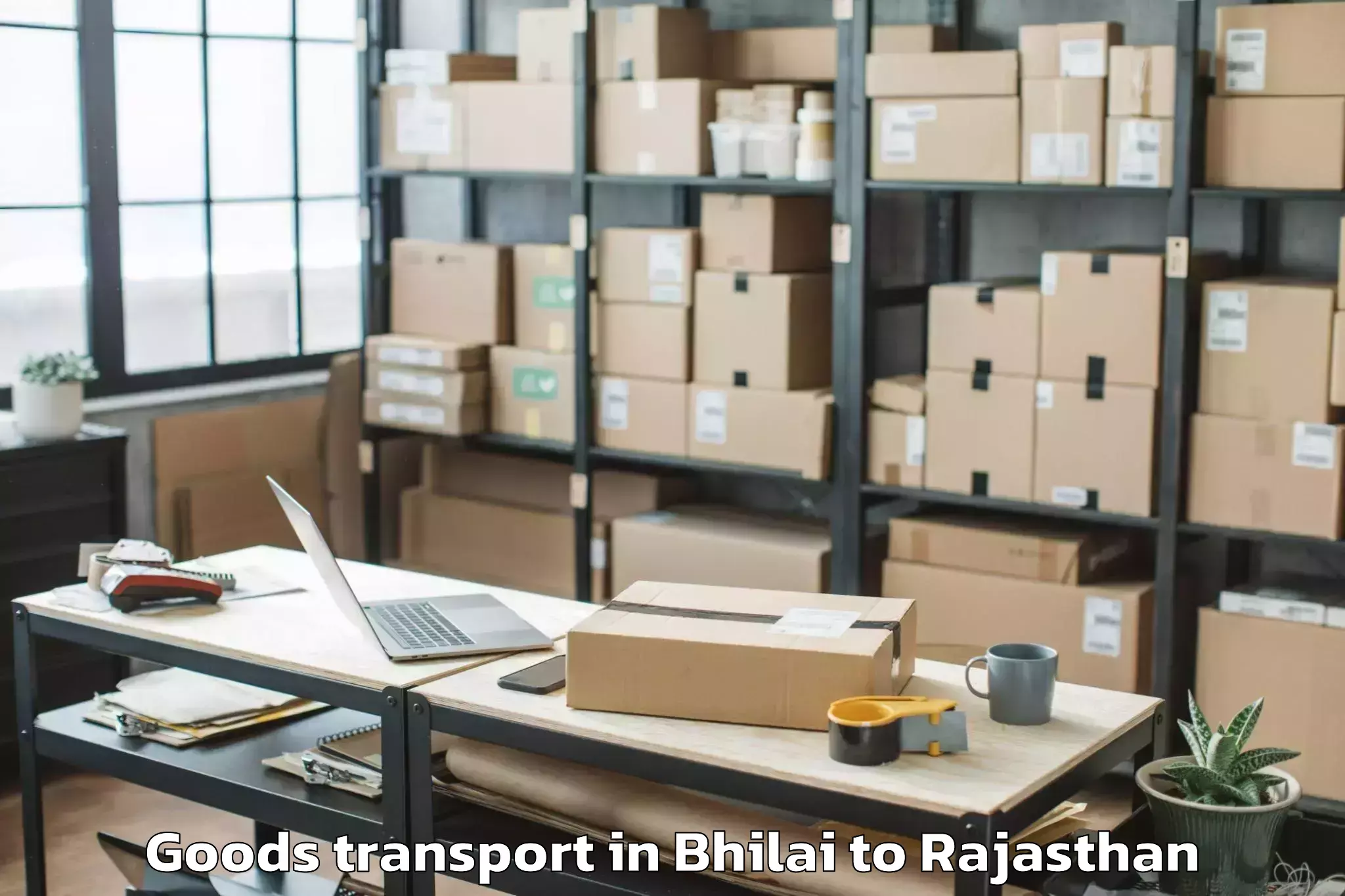 Reliable Bhilai to Chhoti Sadri Goods Transport